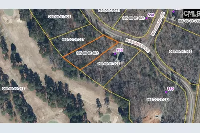 0 Persimmon Dr, Saluda, SC 29138 - Photo 2
