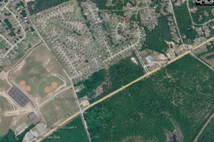 22 Race Stable Ct, Lugoff, SC 29078 - Photo 24