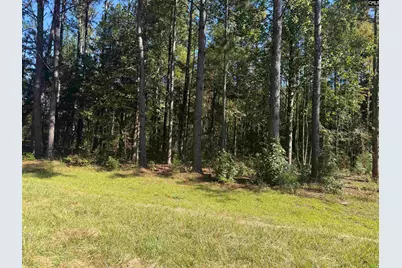 2274 Crowder Road, Kinards, SC 29460 - Photo 1