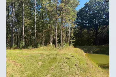 2274 Crowder Road, Kinards, SC 29460 - Photo 2