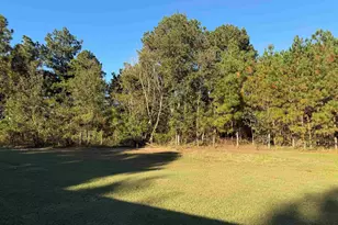 754 Athens School Rd, Swansea, SC 29160 - Photo 6