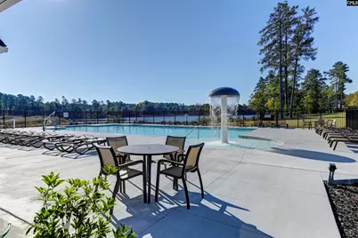 217 Golden Fluke Drive, Lexington, SC 29072 - Photo 54