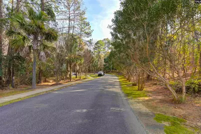 203 Naples Avenue, Cayce, SC 29033 - Photo 48