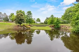 482 Malachite Ln, Chapin, SC 29036 - Photo 42