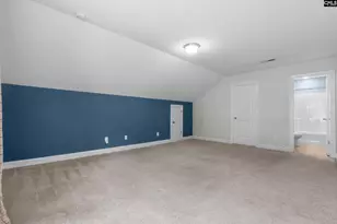 482 Malachite Ln, Chapin, SC 29036 - Photo 32