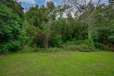 129 Scarborough Drive, Lexington, SC 29072 - Photo 66