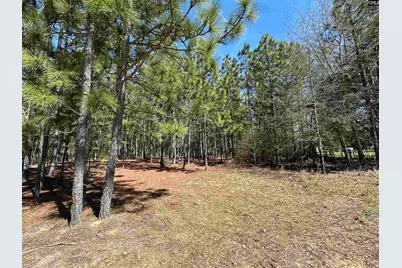 223 Mimosa Drive #1,2,4 and5, Gaston, SC 29053 - Photo 4
