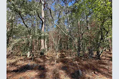 Lot 4 Mimosa Drive #4, Gaston, SC 29053 - Photo 2