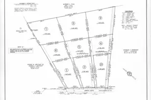 217 Mimosa Dr, Gaston, SC 29053 - Photo 1