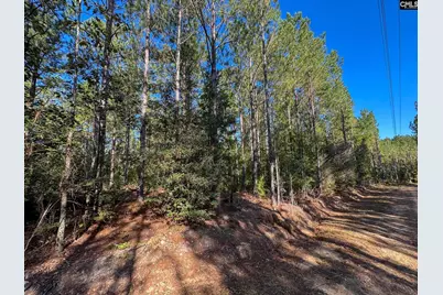 0 Lila Drive, Batesburg, SC 29006 - Photo 2