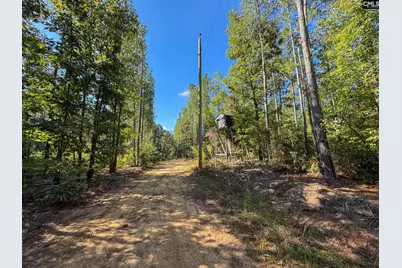 0 Lila Drive, Batesburg, SC 29006 - Photo 4