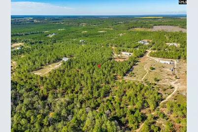442 Kelly Day Road, Pelion, SC 29123 - Photo 40