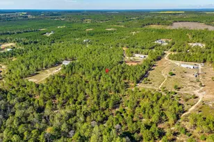 442 Kelly Day Rd, Pelion, SC 29123 - Photo 40