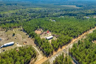 442 Kelly Day Rd, Pelion, SC 29123 - Photo 38