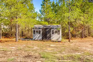 442 Kelly Day Rd, Pelion, SC 29123 - Photo 36