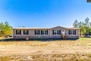 442 Kelly Day Rd, Pelion, SC 29123 - Photo 4