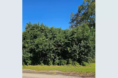 204 Harvin Avenue, Manning, SC 29102 - Photo 1