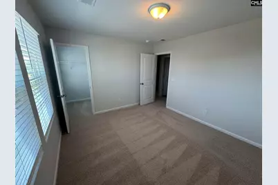 3058 Hallsdale Drive, Elgin, SC 29045 - Photo 18