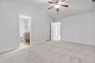 246 Blythe Creek Drive, Blythewood, SC 29016 - Photo 14
