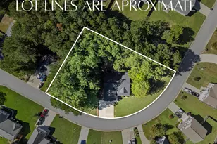 246 Blythe Creek Dr, Blythewood, SC 29016 - Photo 42