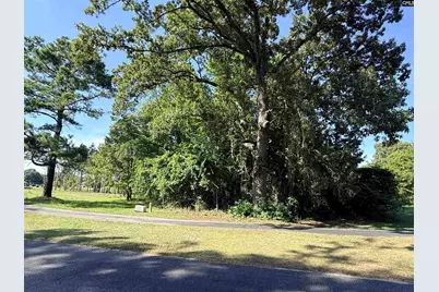 72 Ridge Lake, Manning, SC 29102 - Photo 4