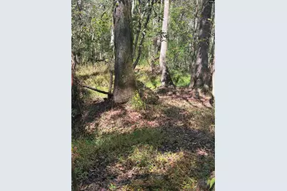0 Swamp Rabbit Rd #Tract A, Leesville, SC 29070 - Photo 28