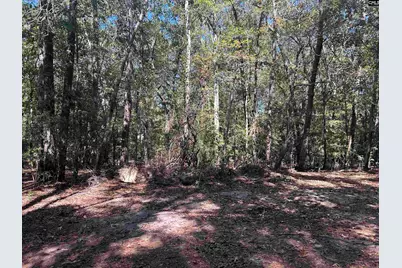 0 Swamp Rabbit Rd #Tract A, Leesville, SC 29070 - Photo 4