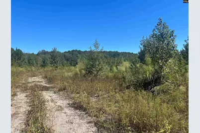 0 Swamp Rabbit Rd #Tract A, Leesville, SC 29070 - Photo 50