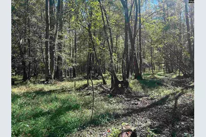 0 Swamp Rabbit Rd #Tract A, Leesville, SC 29070 - Photo 36