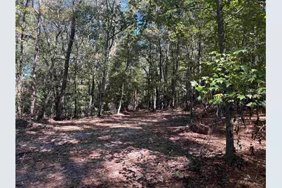 0 Swamp Rabbit Rd #Tract A, Leesville, SC 29070 - Photo 2