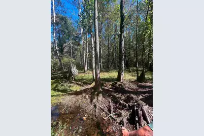 0 Swamp Rabbit Rd #Tract A, Leesville, SC 29070 - Photo 24