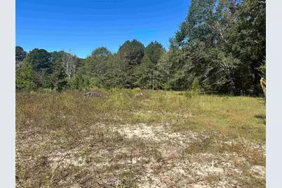 0 Swamp Rabbit Rd #Tract A, Leesville, SC 29070 - Photo 52