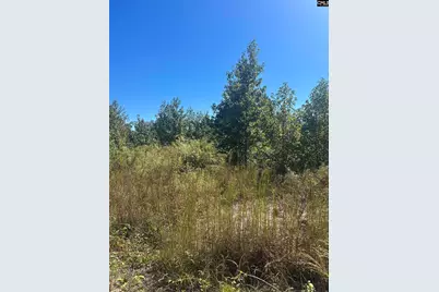 0 Swamp Rabbit Rd #Tract A, Leesville, SC 29070 - Photo 44