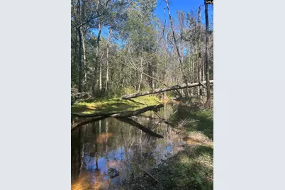 0 Swamp Rabbit Rd #Tract A, Leesville, SC 29070 - Photo 18