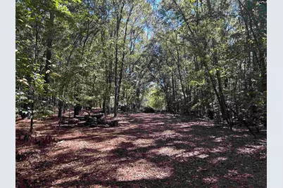 0 Swamp Rabbit Rd #Tract A, Leesville, SC 29070 - Photo 6