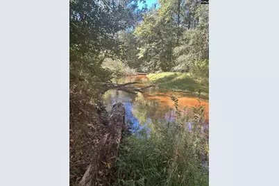 0 Swamp Rabbit Rd #Tract A, Leesville, SC 29070 - Photo 34