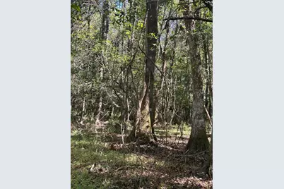 0 Swamp Rabbit Rd #Tract A, Leesville, SC 29070 - Photo 26
