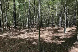 156 Indian Cove Rd, Chapin, SC 29036 - Photo 1