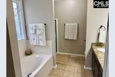 319 Annapolis Road, Lexington, SC 29072 - Photo 10