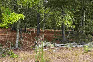 Lot B Warbonnet Rd, Salley, SC 29137 - Photo 1