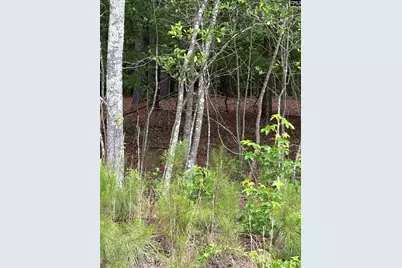 Lot E Warbonnet Road, Salley, SC 29137 - Photo 4