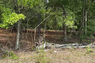 Lot E Warbonnet Rd, Salley, SC 29137 - Photo 1