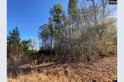 606 Stacey Bridge Road, North, SC 29118 - Photo 1