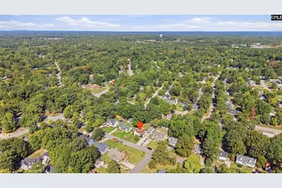336 Cockspur Road, Irmo, SC 29063 - Photo 54
