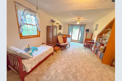 111 Old Cedar, Chapin, SC 29036 - Photo 22