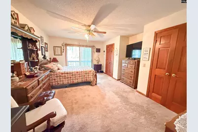 111 Old Cedar, Chapin, SC 29036 - Photo 16