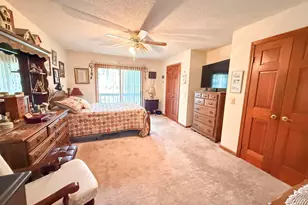 111 Old Cedar, Chapin, SC 29036 - Photo 16