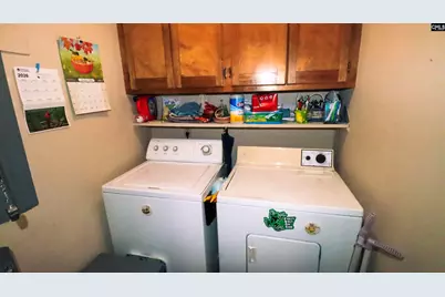 111 Old Cedar, Chapin, SC 29036 - Photo 24