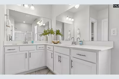 209 Sunny Stream Drive, Chapin, SC 29036 - Photo 14