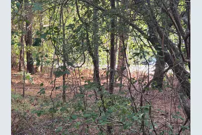 1020 Grandview Lane, West Columbia, SC 29172 - Photo 14